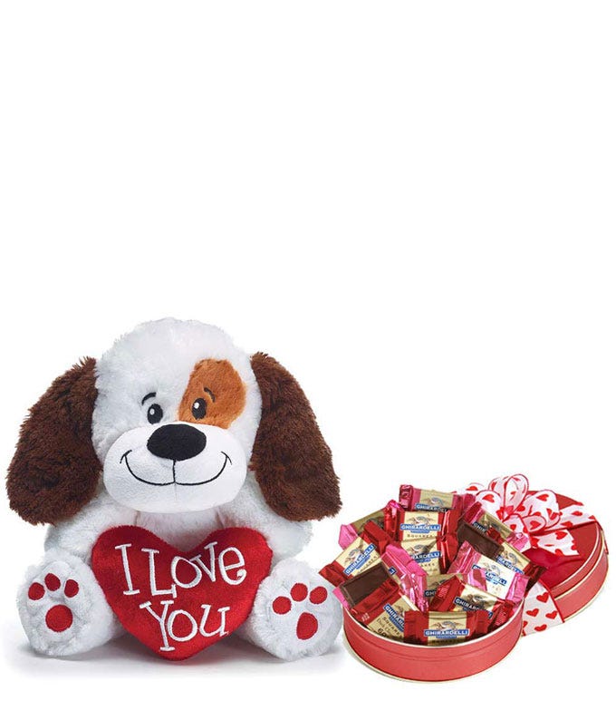 Fuzzy Valentine Puppy Gift Set