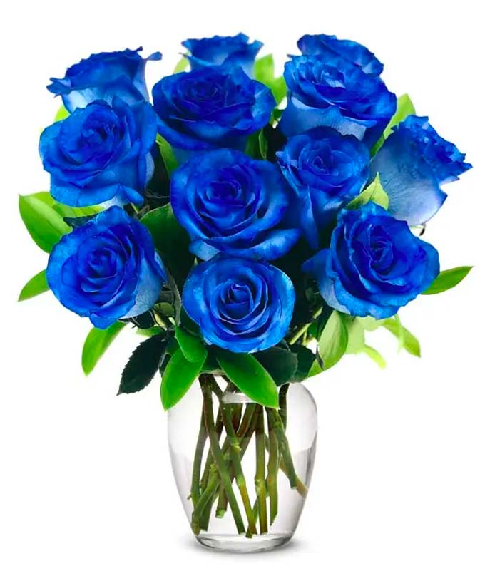 One Dozen Royal Blue Roses at Send Flowers