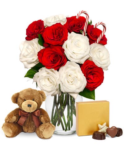 One Dozen Candy Cane Roses with Chocolates and Bear