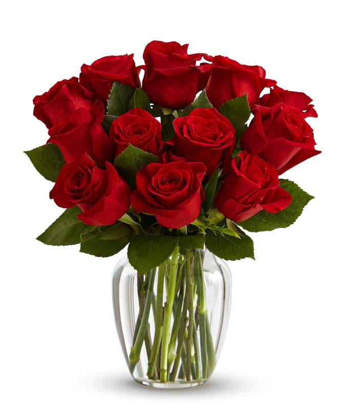 One Dozen Long Stem Red Roses