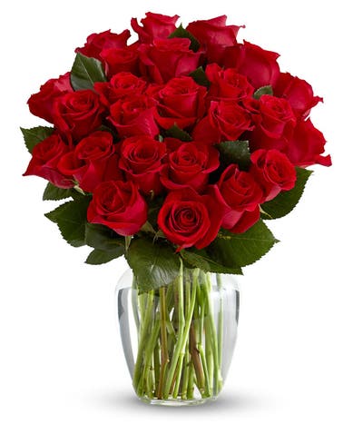 Two Dozen Long Stem Red Roses