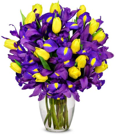 Iris And Tulip Bouquet - Deluxe
