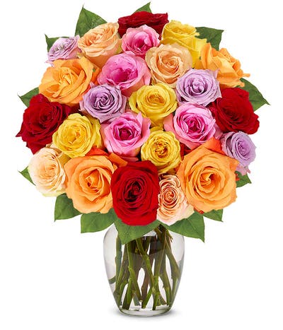 Two Dozen Rainbow Roses