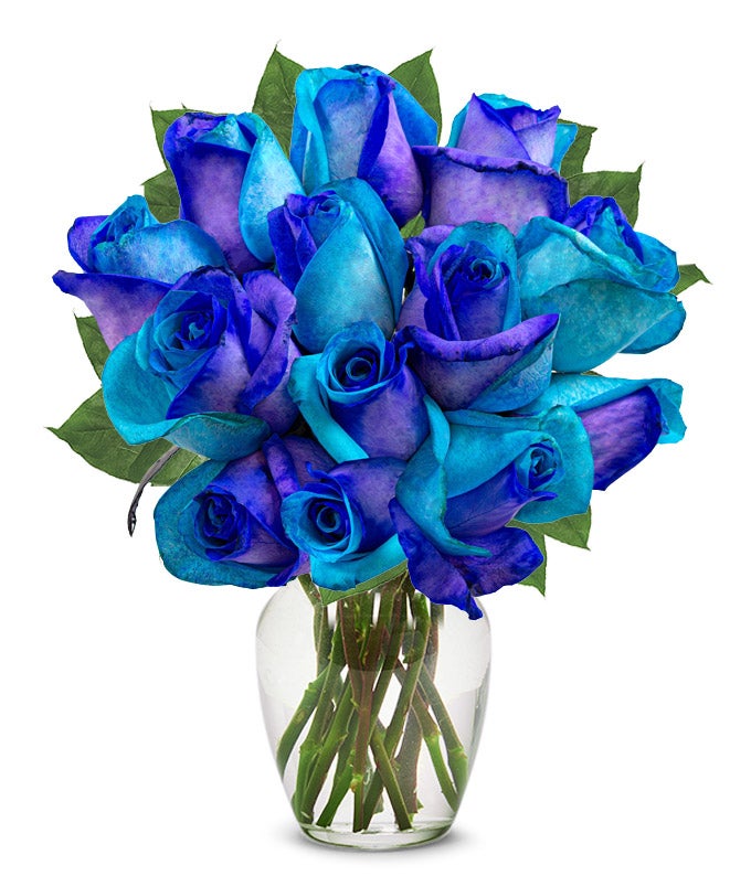 Ocean Mist Roses One Dozen Oceanic Roses at Send Flowers