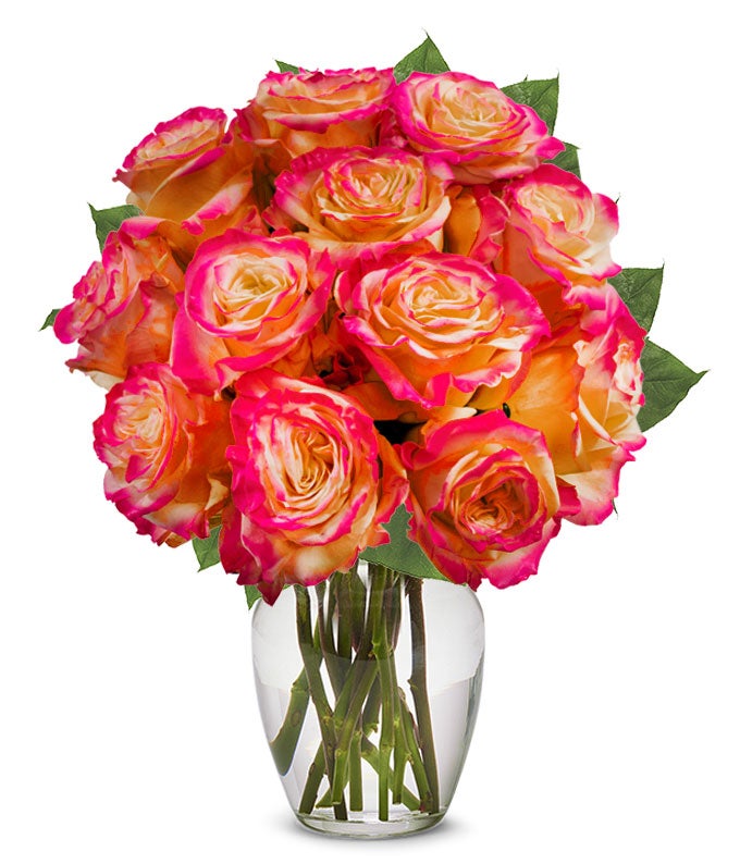 One Dozen Sunset Pink Roses