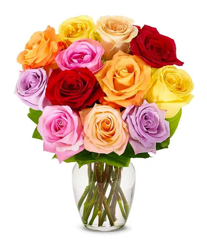One Dozen Rainbow Roses