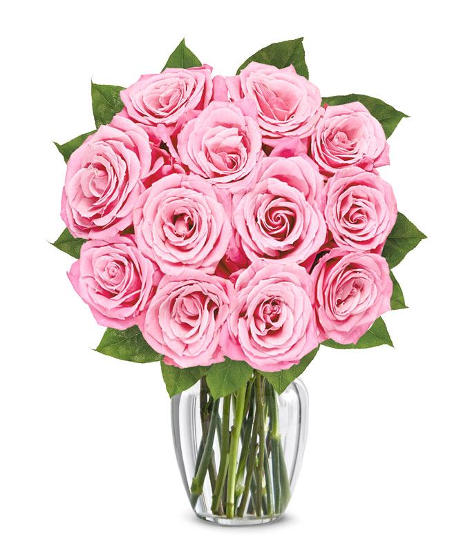 One Dozen Light Pink Roses