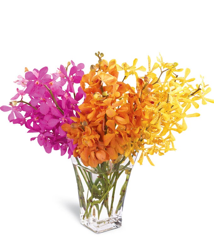 *完成*flower✿様オーダー Vibrant Mokara Orchids Bouquet at Send Flowers