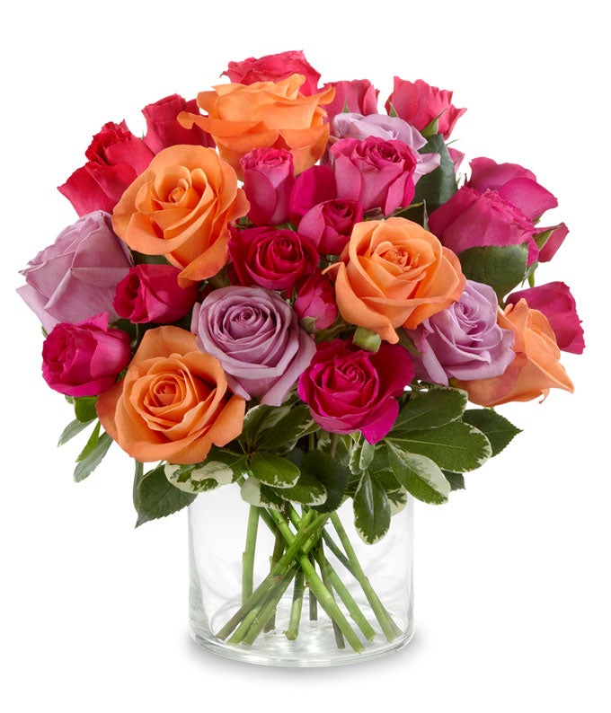Pure Orange Daisy Bouquet at Send Flowers