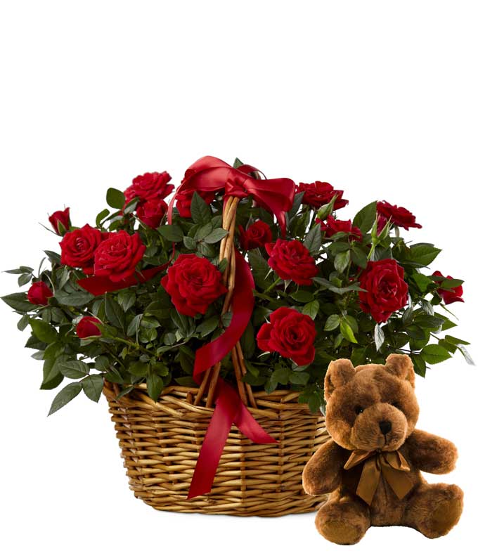 Teddy Bear With Roses at Send Flowers