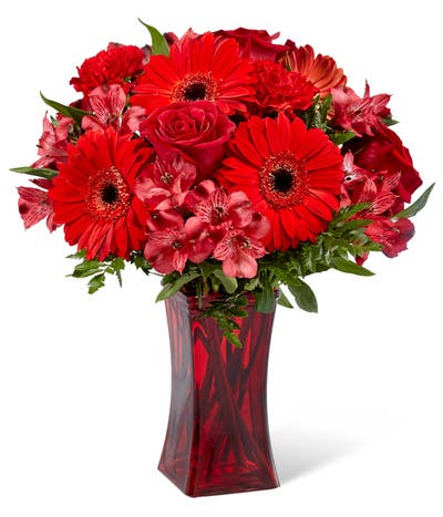Ravishing Red Gerbera Bouquet