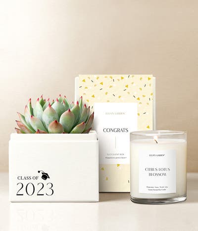 Lula's Garden Class of 2022! Bliss Succulent Garden Gift Set
