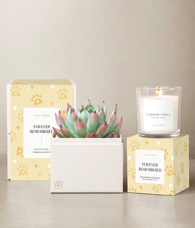 Lula's Garden ® Furever Remembered Bliss Bundle