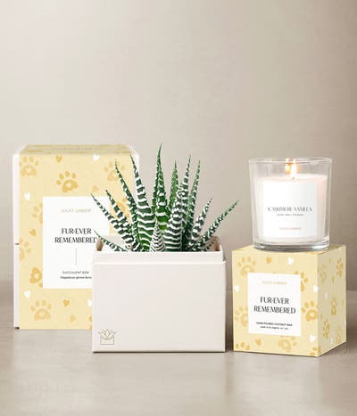 Lula's Garden ® Furever Remembered Zebra Bundle