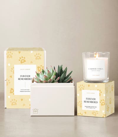 Lula's Garden ® Furever Remembered Glow Bundle