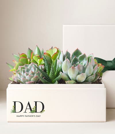 Lula's Garden ® Father's Day Urban Succulent Garden