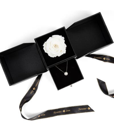 White Rose Sympathy & Necklace Gift Set