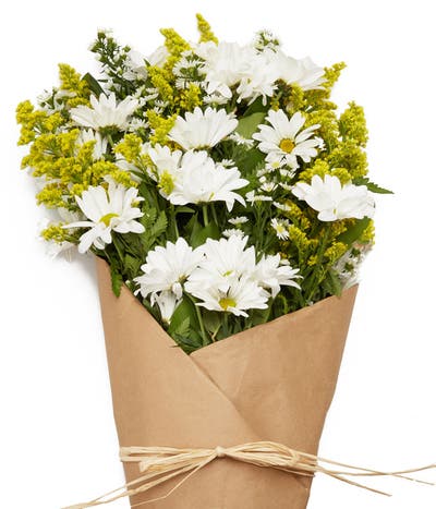 Darling Daisy Wrapped Bouquet