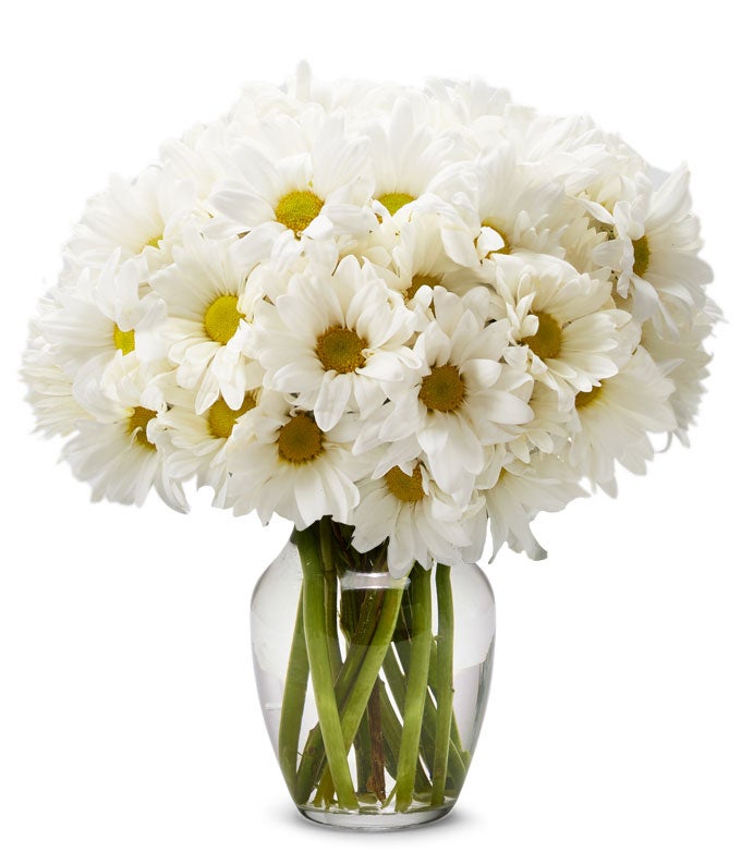 Small White Daisy Bouquet at Send Flowers