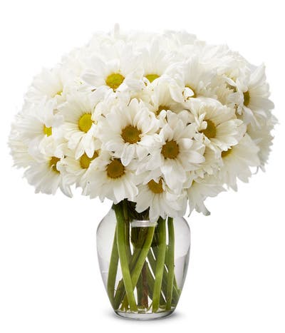 Small White Daisy Bouquet