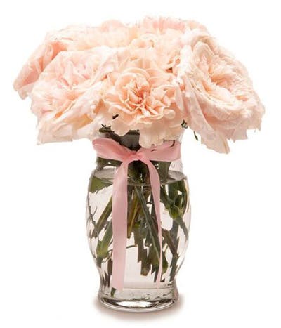 Pearly Pink Carnation Bouquet
