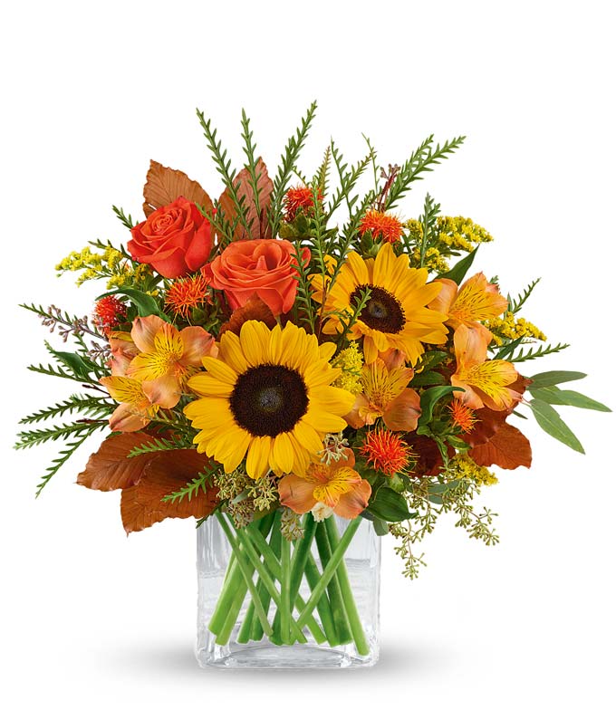 Flourishing Harvest Sunflower Bouquet at Send Flowers