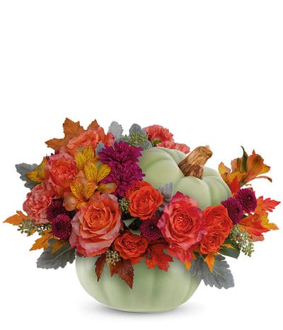 Groovy Autumn Harvest