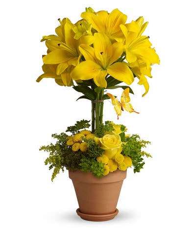Yellow Lily Flower Topiary