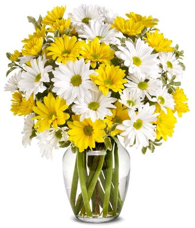 Yellow And White Daisy Bouquet