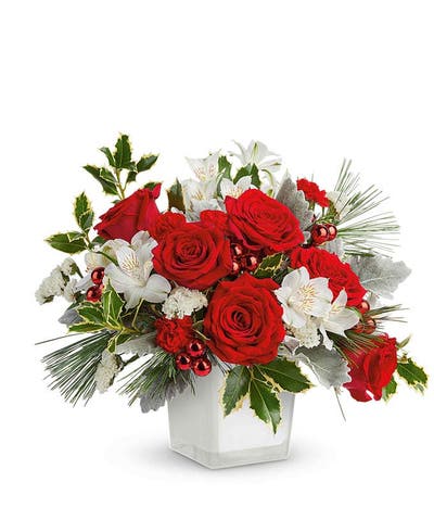Festive Evergreen Roses